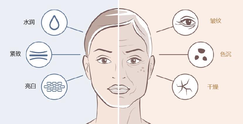 給顧客的皮膚分析話術(shù)，針對不同的顧客美容,我們的話術(shù)