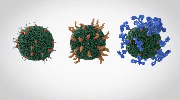 外泌體是什么東西正規(guī)嗎_科肌膚悠然美外泌體品牌