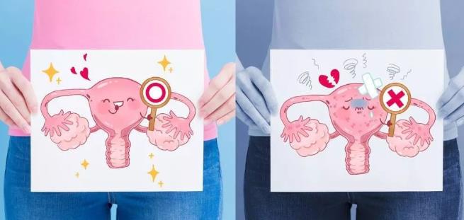 第二種：女人卵巢保養(yǎng)的手法步驟