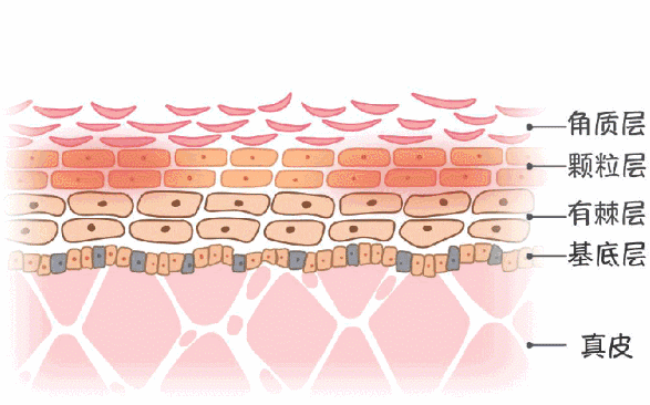 高倍濃縮超長蓄熱